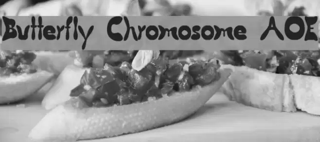 Butterfly Chromosome AOE Font examples