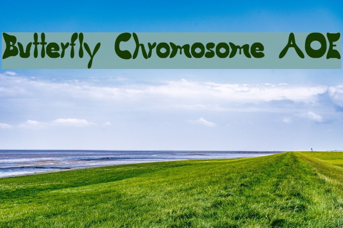 Butterfly Chromosome AOE Font examples
