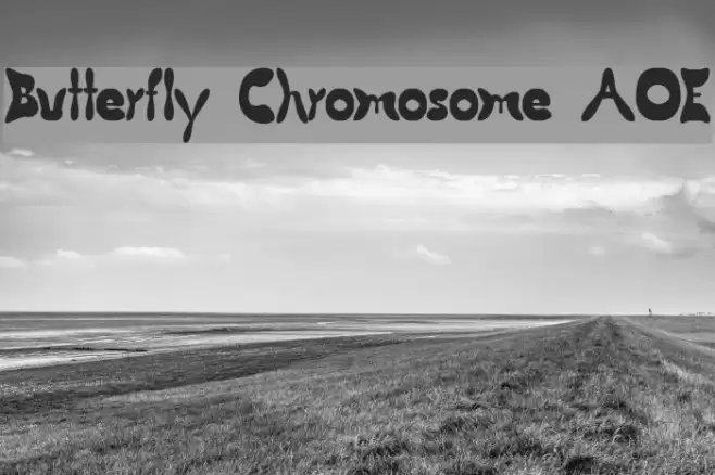 Butterfly Chromosome AOE Font examples