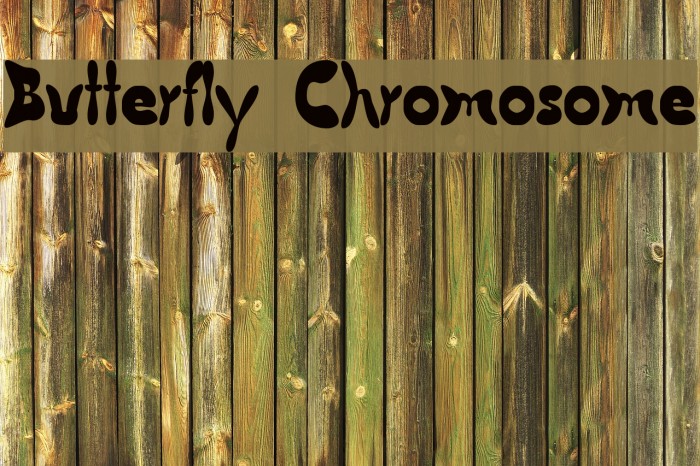 Butterfly Chromosome Font examples