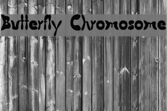 Butterfly Chromosome Example 3