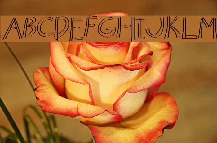 Butterfly Comic Logo Font examples