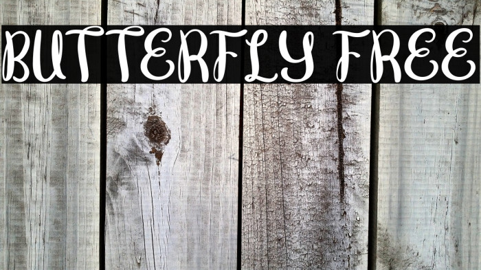 Butterfly FREE Example 2