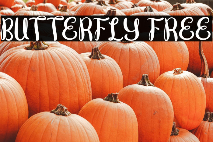 Butterfly FREE Example 3