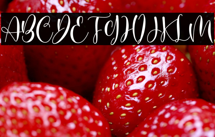 Butterfly Garden Example 2