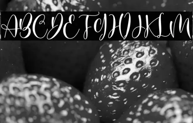 Butterfly Garden Font examples