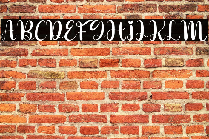 Butterfly Holiday Example 2