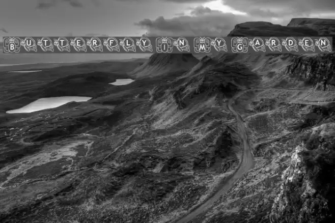 Butterfly In My Garden Font examples