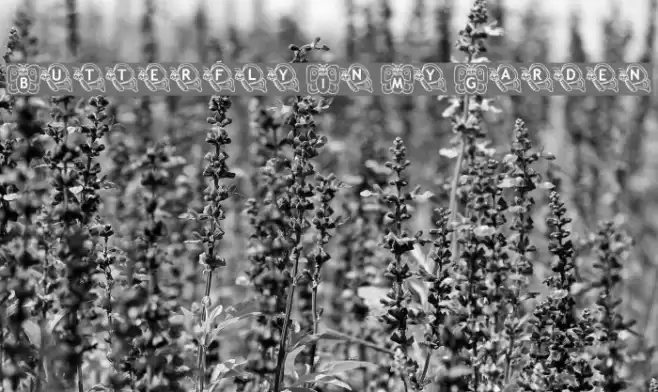 Butterfly In My Garden Font examples