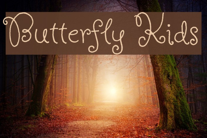 Butterfly Kids Font examples