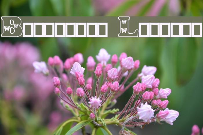 Butterfly Letters Font examples