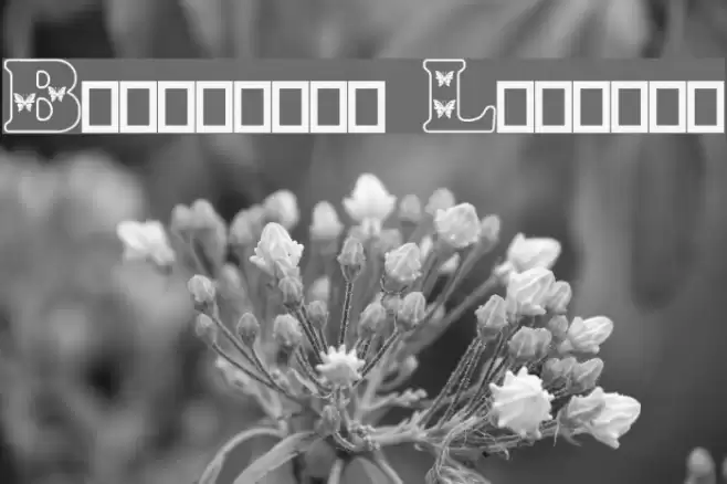 Butterfly Letters Font examples