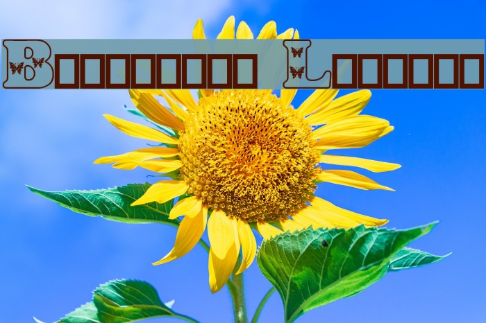 Butterfly Letters Font examples