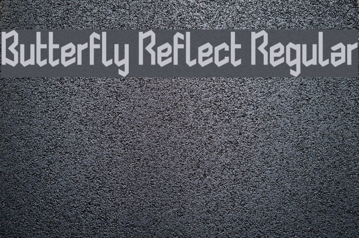 Butterfly Reflect Regular Font examples