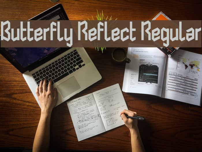 Butterfly Reflect Regular Font examples