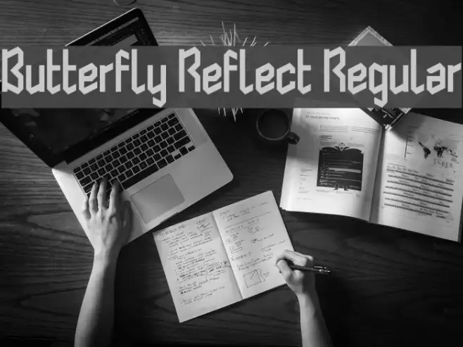 Butterfly Reflect Regular Example 2