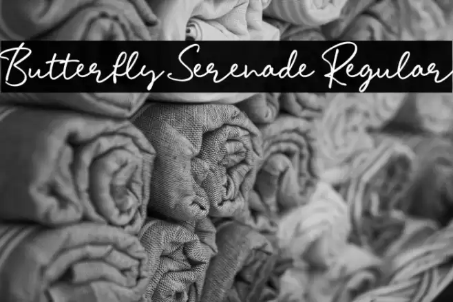 Butterfly Serenade Regular Font examples