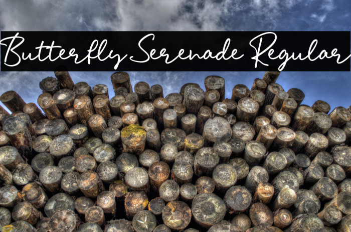 Butterfly Serenade Regular Polices examples