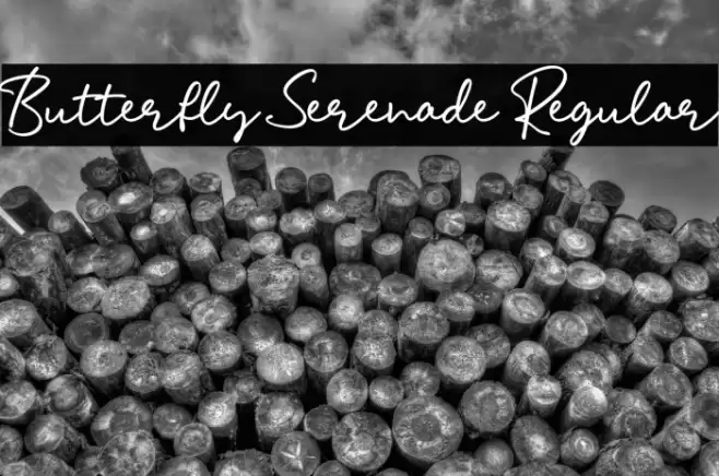 Butterfly Serenade Regular Font examples