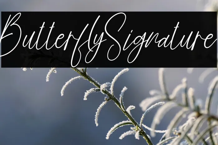 Butterfly Signature Example 3
