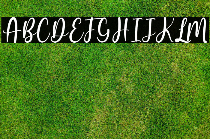 Butterfly Winter Example 2