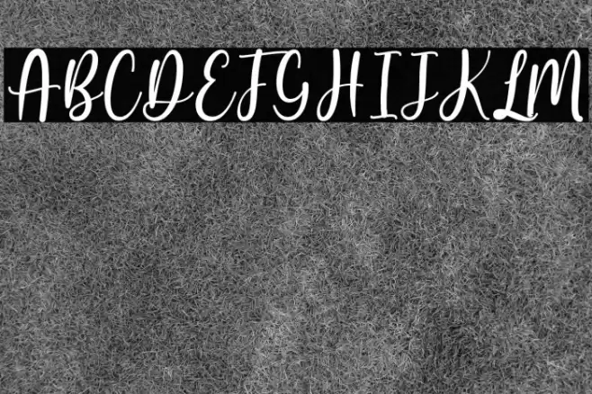 Butterfly Winter Font examples