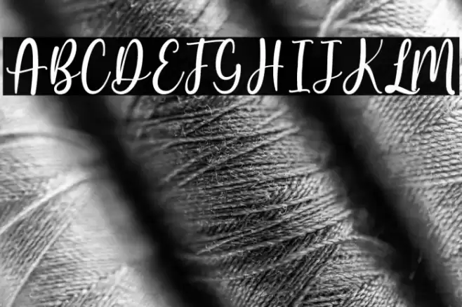 Butterfly Winter Font examples