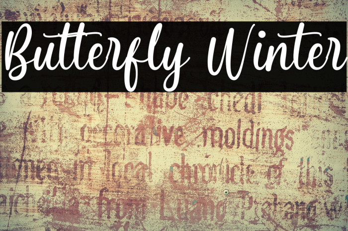 Butterfly Winter Example 1