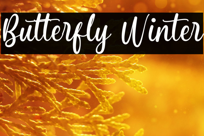 Butterfly Winter Example 2