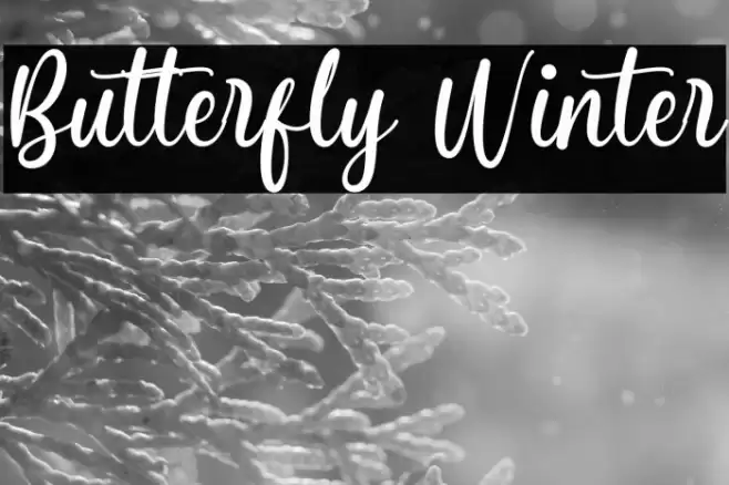 Butterfly Winter Font examples