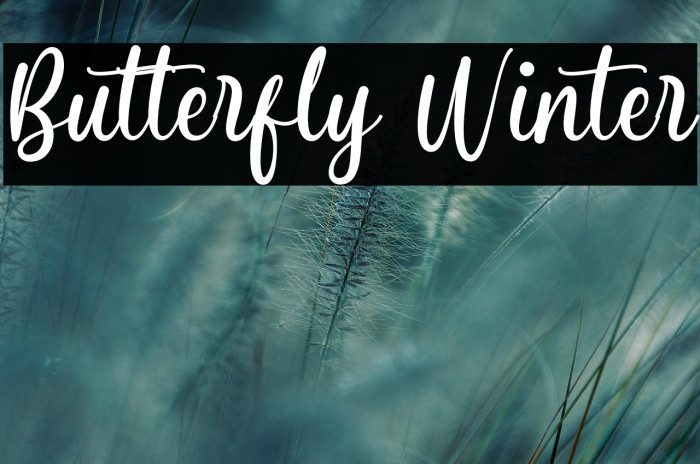 Butterfly Winter Example 3