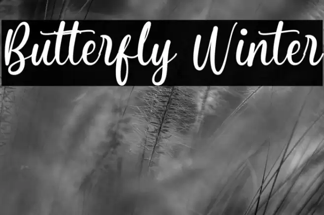 Butterfly Winter Font examples