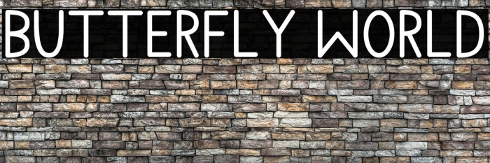 Butterfly World Example 1