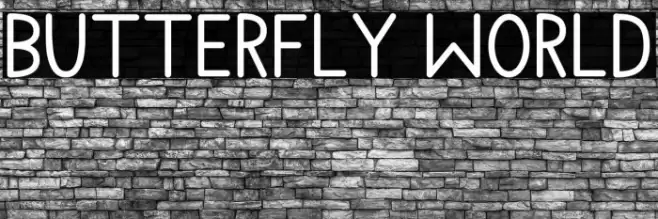 Butterfly World Font examples