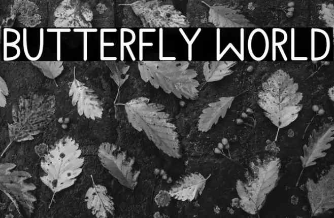 Butterfly World Font examples