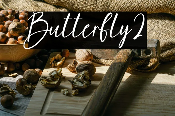 Butterfly2 Example 1