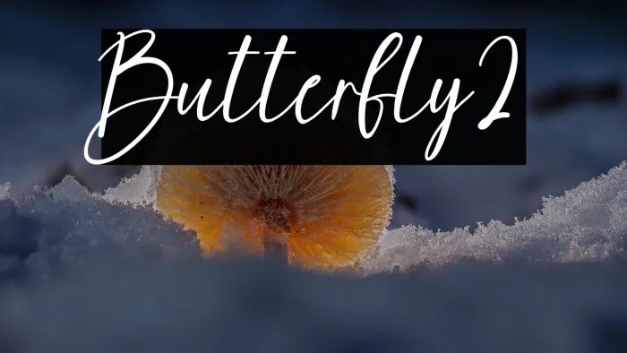 Butterfly2 Example 2