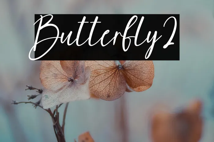 Butterfly2 Example 3