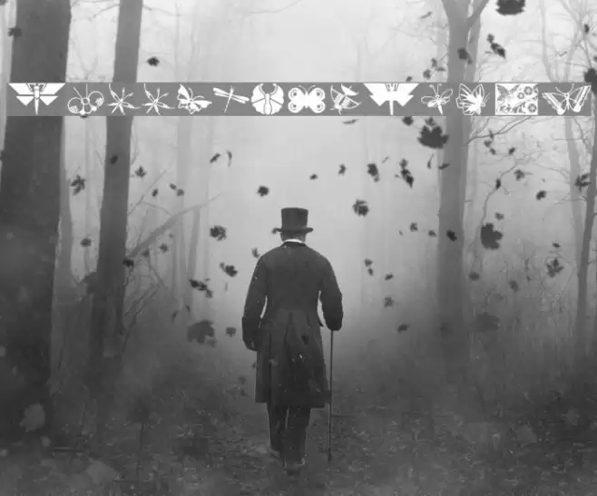 ButterflyAndCo Font examples