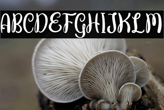 ButterflyFREE Example 2