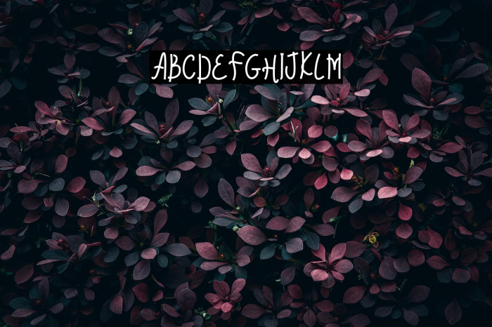 Butterflyna Demo Example 2