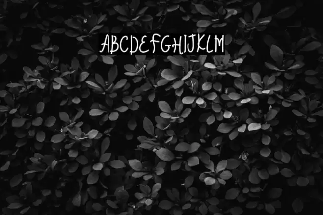 Butterflyna Demo Font examples