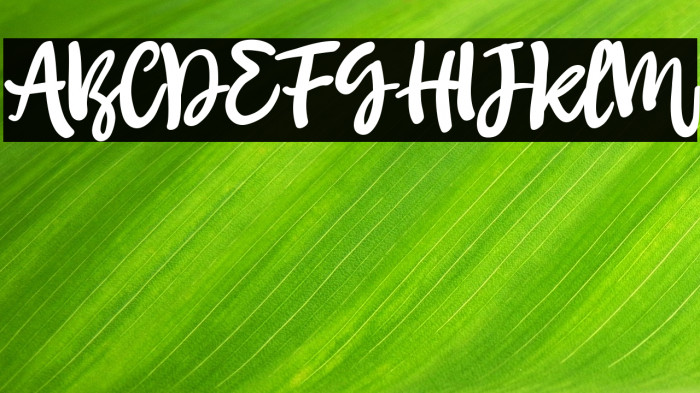 Butterfree Regular Example 3