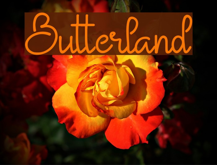Butterland Font examples