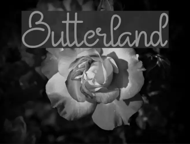 Butterland Example 1