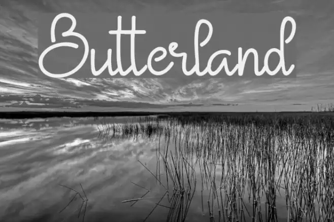 Butterland Example 2