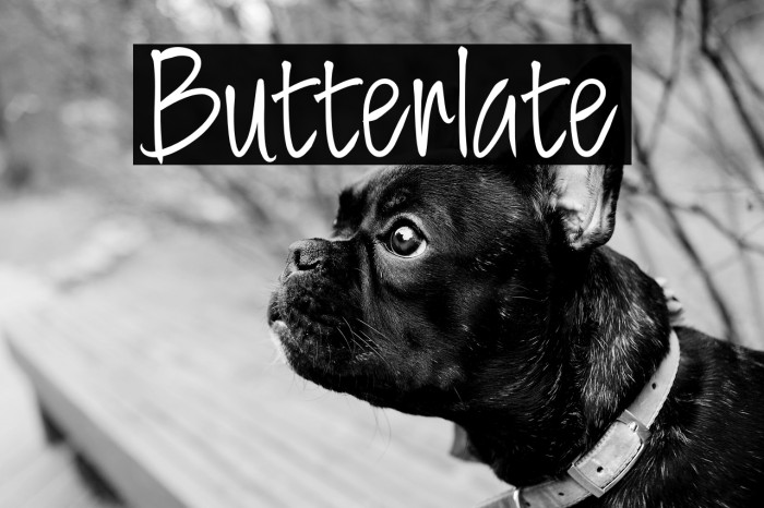 Butterlate Example 1