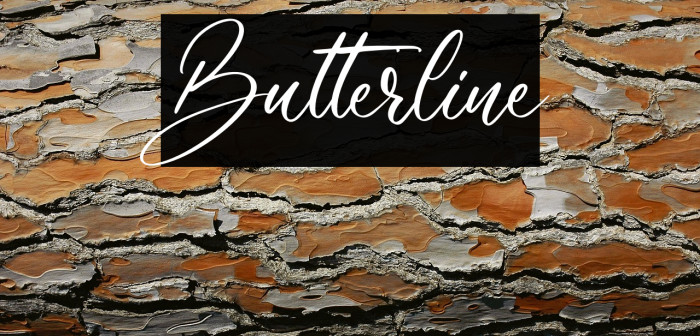 Butterline Example 1