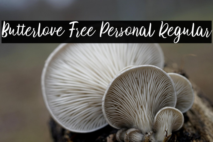 Butterlove Free Personal Regular Example 2