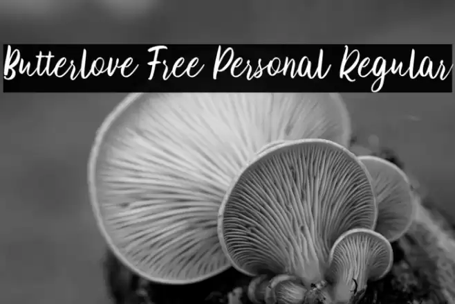 Butterlove Free Personal Regular Font examples